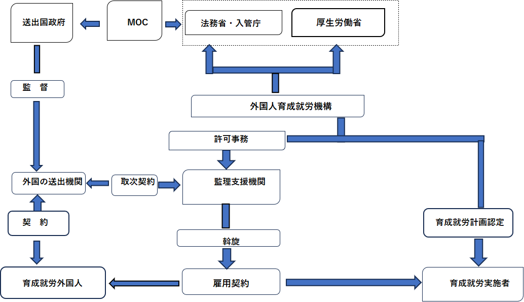 育成就労の流れ